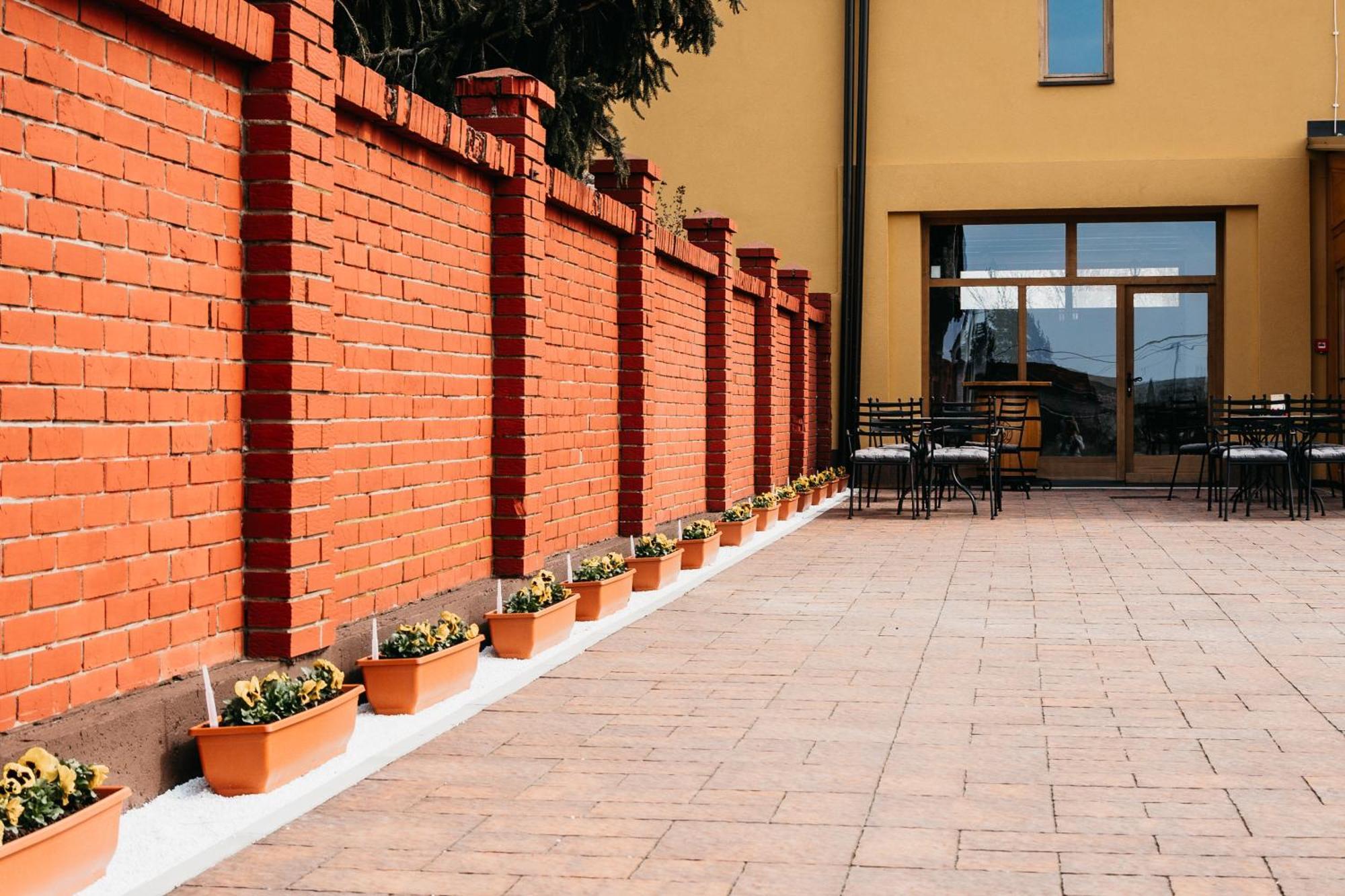 Pansion Mihica Dvori Hotel Babina Greda Exterior photo